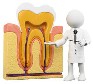 How Long Does Root Canal Take?